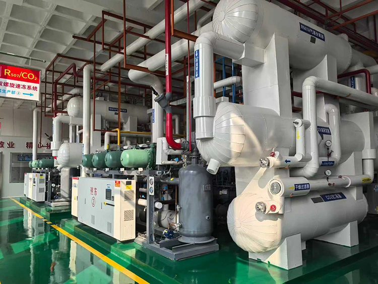 CO₂ সাবক্রিটিক্যাল রেফ্রিজারেশন কম্প্রেসার ইউনিট